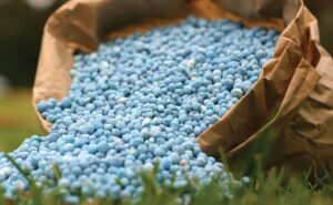 साउनभित्र दुई लाख १० हजार मेट्रिकटन रासायनिक मल नेपाल भित्रिदै 