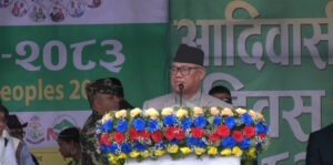 सरकारको नेतृत्व गर्नेबाट नै संविधानका उपलब्धिमाथि प्रश्न उठाउने प्रयास भइरहेको भीष्मराज आङ्देम्बेको आरोप 