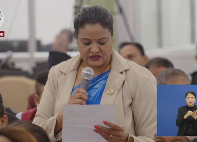 भदौ २३ गते सहिदको नाममा विशेष सम्बोधन गर्न प्रधानमन्त्रीलाई सांसद रचना खतिवडाको आग्रह