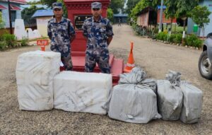 दुई करोड भन्दा बढीको एप्पल कम्पनीको एयर वर्डस बरामद