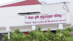 कृषि बैज्ञानिकमाथि नार्कको अन्याय : तलब संरचनामा चरम विभेद, दुई तहका वैज्ञानिक, एउटै आधारभूत तलब