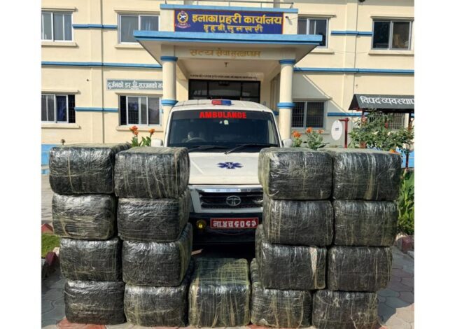 सुनसरीमा एम्बुलेन्सबाट ५७४ किलो गाँजा बारामत