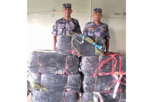 मोरङमा धानबारीबाट २१० किलो बेवारिसे अवस्थामा गाँजा बरामद